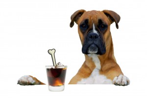 boxer-with-drink