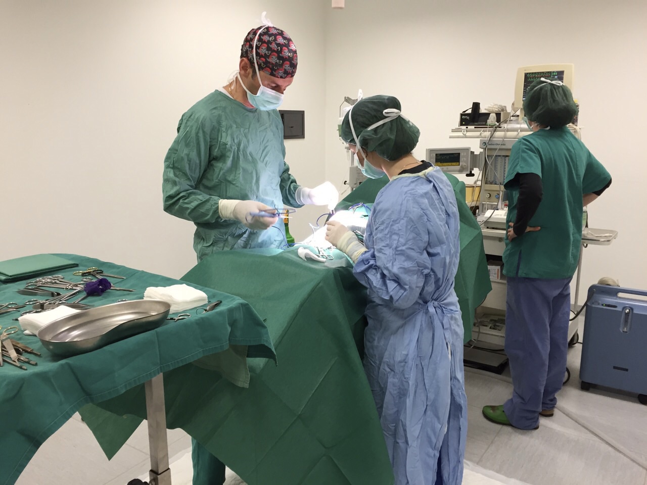 Chirurghi dell'ambulatorio veterinario Contri De Zen che eseguono un'operazione in una sala operatoria sterile. Due professionisti medici stanno operando attivamente un paziente, mentre una terza persona gestisce l'attrezzatura sullo sfondo. Strumenti chirurgici e un vassoio coperto sono visibili in primo piano.