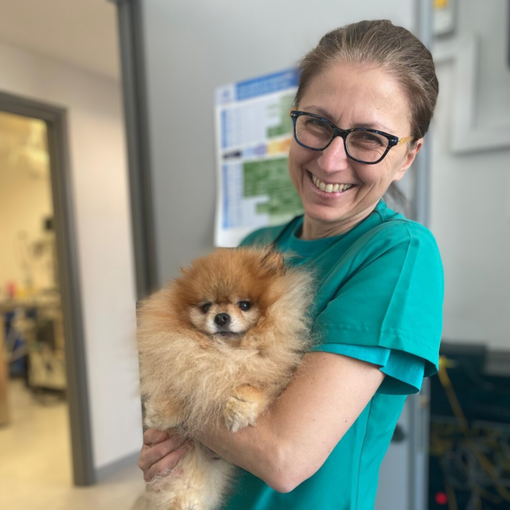Una donna sorridente con gli occhiali e una maglietta verde, che ricorda AnnaChiara Contri, tiene in braccio un soffice Pomerania in casa. Dietro di lei c'è un muro e una porta blu, che contribuiscono all'atmosfera allegra.