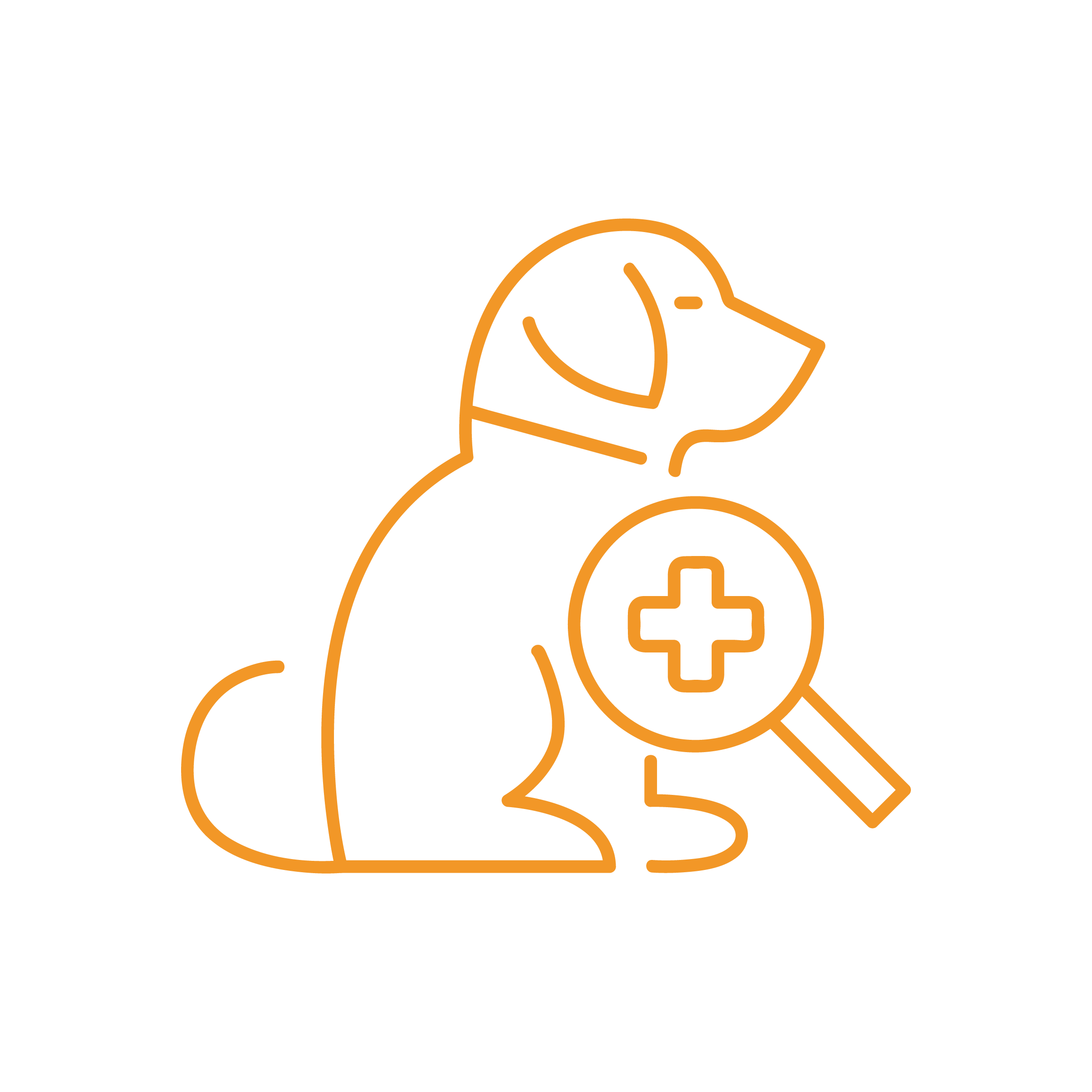 La sagoma arancione di un cane tiene in mano una lente di ingrandimento con una croce medica, che simboleggia la cura veterinaria o l'ispezione sanitaria dell'animale domestico, e sottolinea preoccupazioni come malattie dermatologiche o prurito su un elegante sfondo nero.