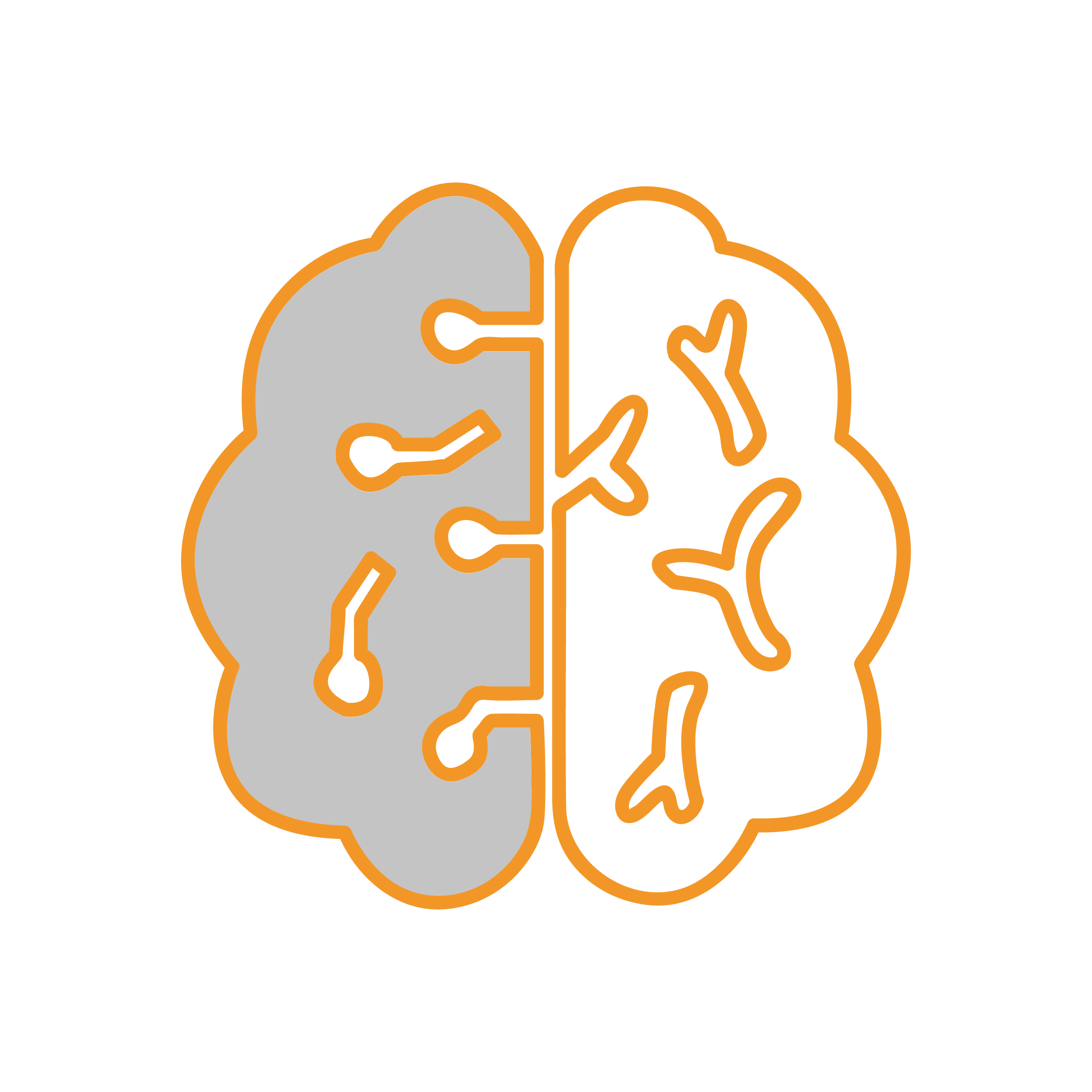 Illustrazione di un cervello diviso a metà con un contorno arancione, che riflette elementi di neurologia veterinaria. Il lato sinistro è grigio chiaro con linee simili a circuiti, mentre il lato destro è nero con linee angolari, che simboleggiano tecnologia e creatività su uno sfondo nero.