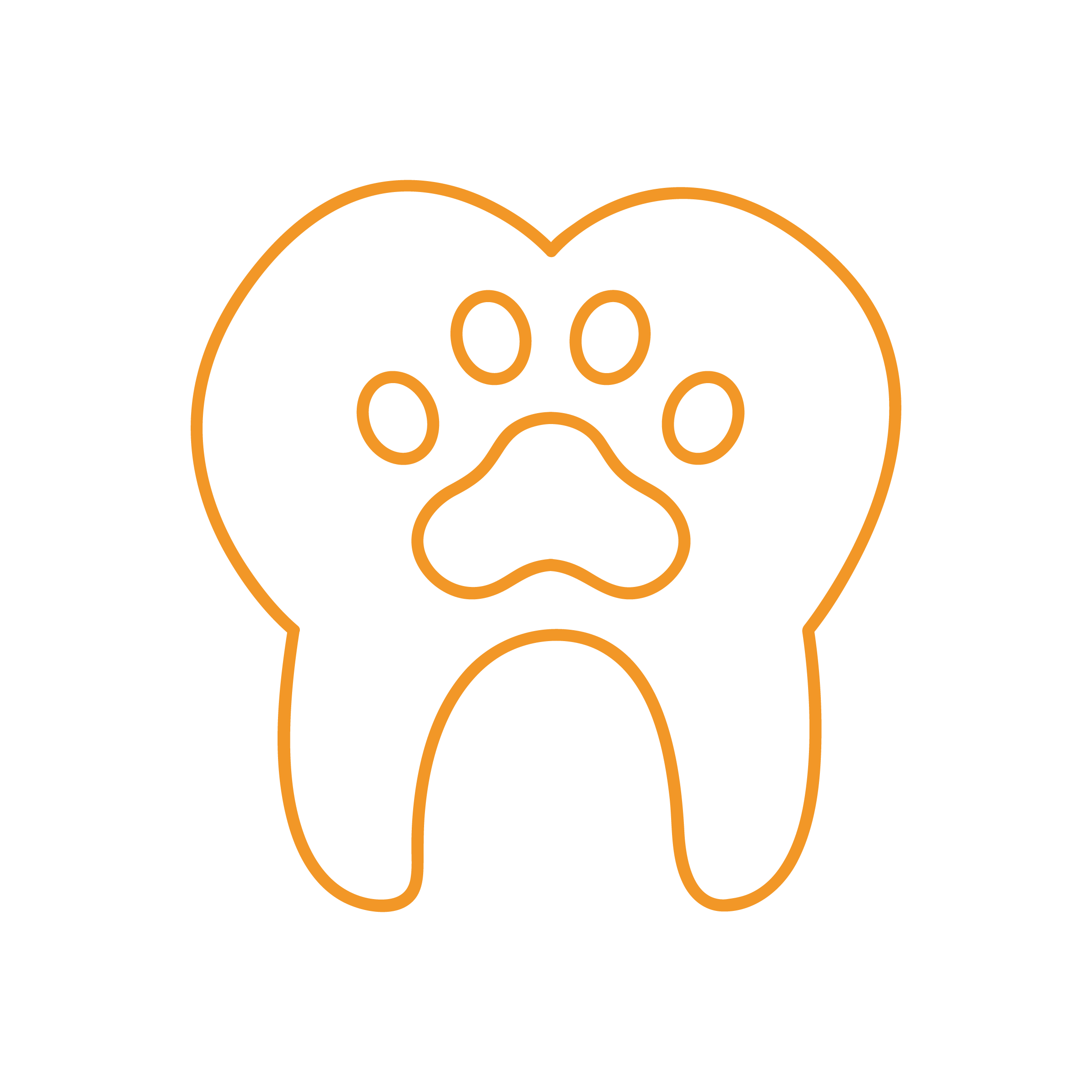 Un'illustrazione del contorno di un dente con un'impronta di zampa arancione all'interno, che simboleggia l'odontoiatria veterinaria e l'odontostomatologia. Il dente e l'impronta della zampa hanno lo stesso stile di linea arancione su uno sfondo nero lucido.