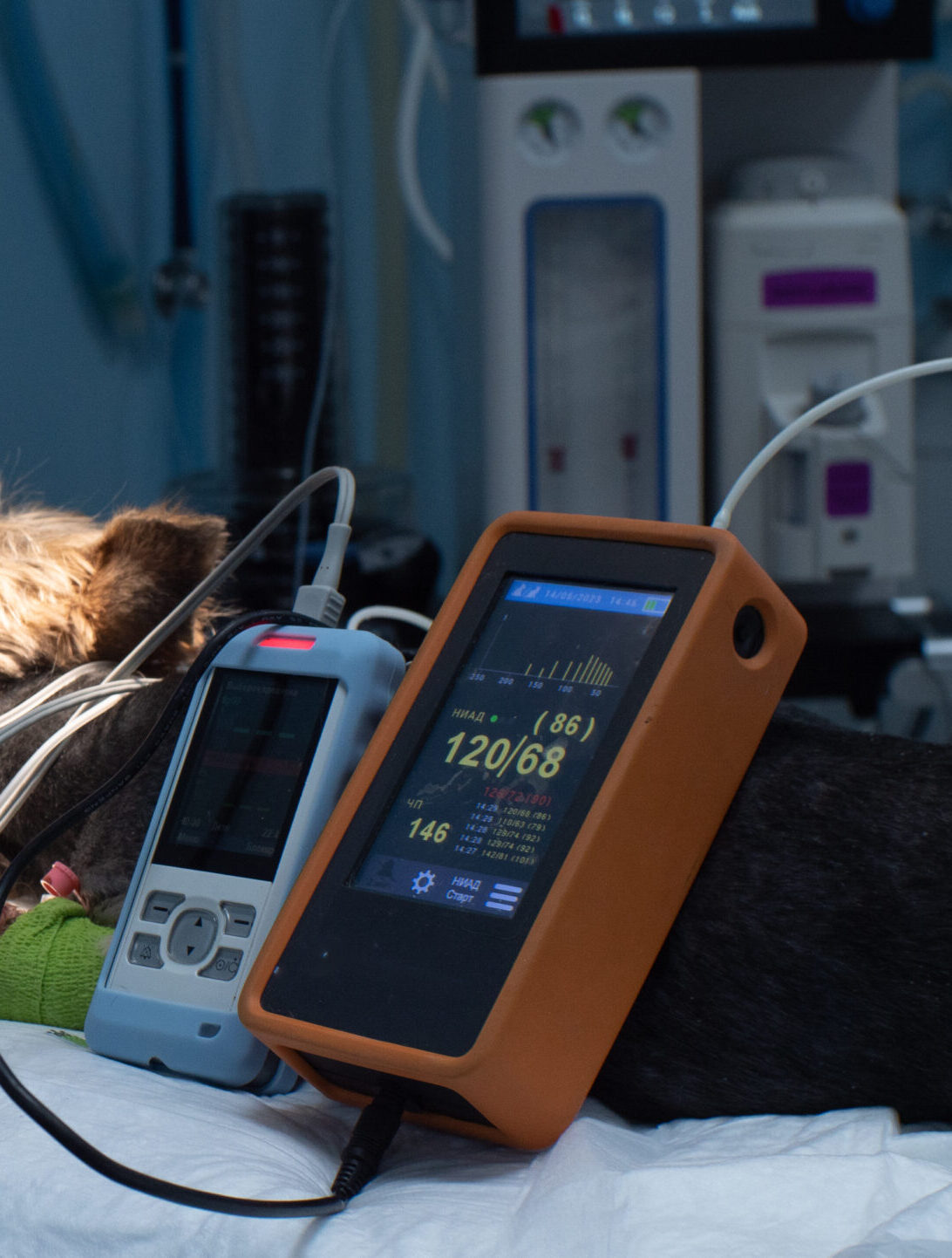Un cagnolino è sdraiato su un tavolo operatorio sotto anestesia, collegato a vari monitor e dispositivi medici, tra cui pompe di infusione e un monitor dei parametri vitali, in una clinica veterinaria.