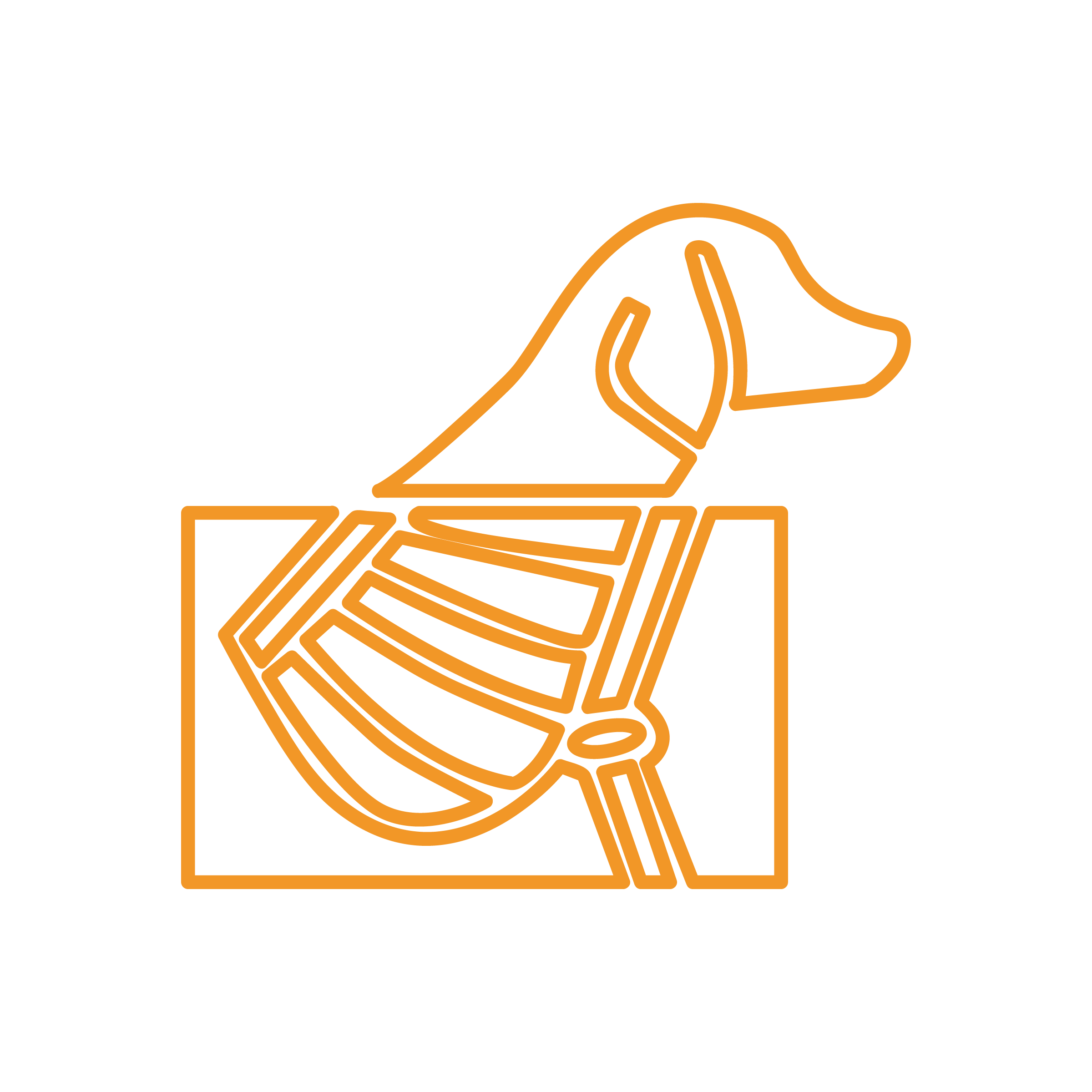 Radiologia Veterinaria